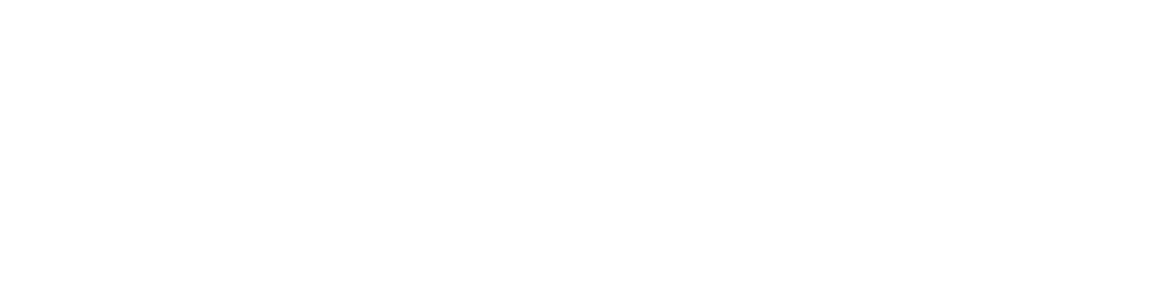 Leaders Technology International