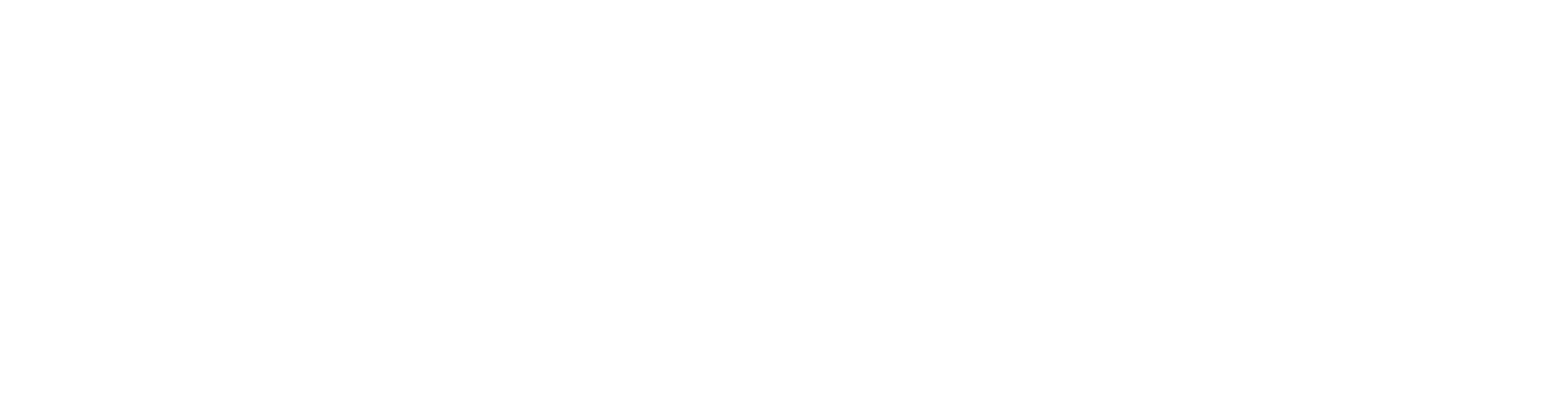 Leaders Technology International
