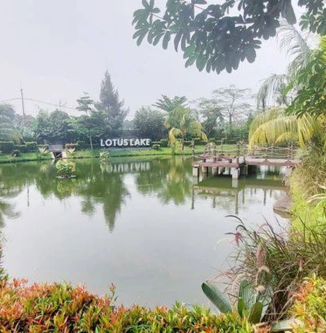 Lotus Lake