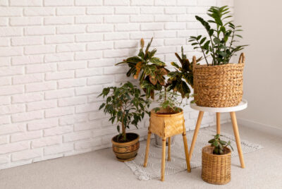 Ide Dekorasi Rumah Kecil Ala Eco Living